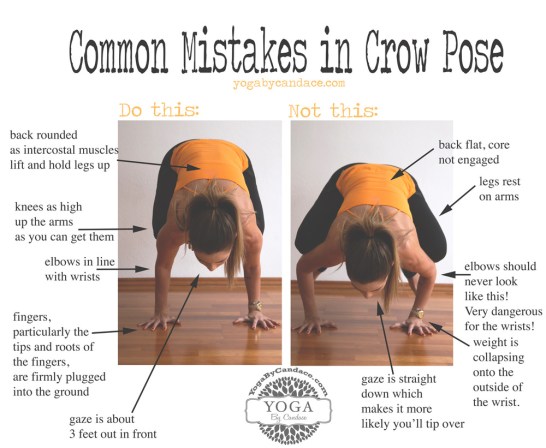 Image result for crow pose