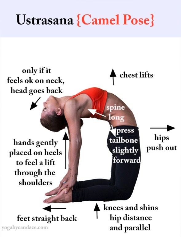 how-to-do-camel-pose
